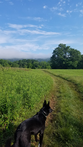 Non-Profit Organization «Blue Ridge Center For Environmental Stewardship», reviews and photos, 11661 Harpers Ferry Rd, Purcellville, VA 20132, USA