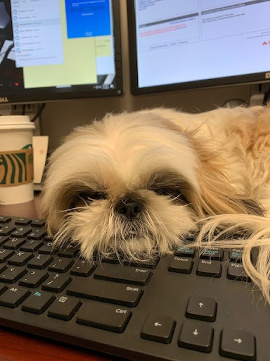 Insurance Agency «Youkie Chambers - State Farm Insurance Agent», reviews and photos