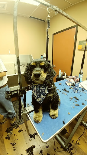 Pet Store «Pet Valu», reviews and photos, 2645 Shillington Rd, Sinking Spring, PA 19608, USA