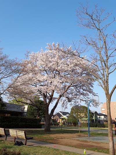 河和田2丁目さくら街区公園