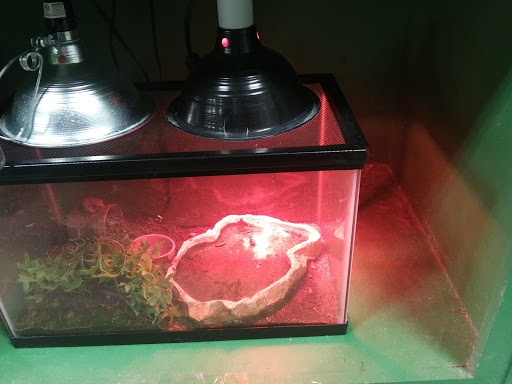 Pet Supply Store «Saluda River Pet», reviews and photos, 130 Robin Helton Dr, Boiling Springs, SC 29316, USA