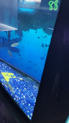 Pet Store «Pet Land», reviews and photos, 1450 Fort Campbell Blvd, Clarksville, TN 37042, USA