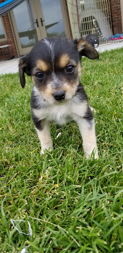 Insurance Agency «Nate Baldwin - State Farm Insurance Agent», reviews and photos