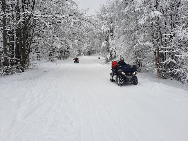 Almasu mic nr 43 A, Strada Constantin Bursan 14, Hunedoara 331014, România