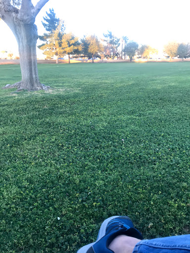 Park «Camelback Park», reviews and photos, 1181-1199 N Villa Nueva Dr, Litchfield Park, AZ 85340, USA