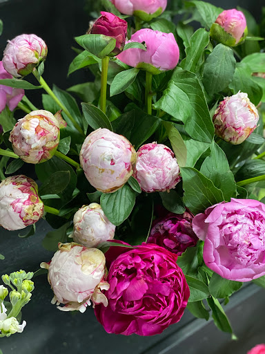 Florist «Mille Fleurs», reviews and photos, 4901 Keller Springs Rd #109, Addison, TX 75001, USA