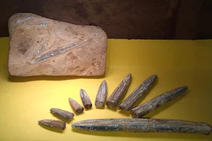 Thar N H Fossil Museum image