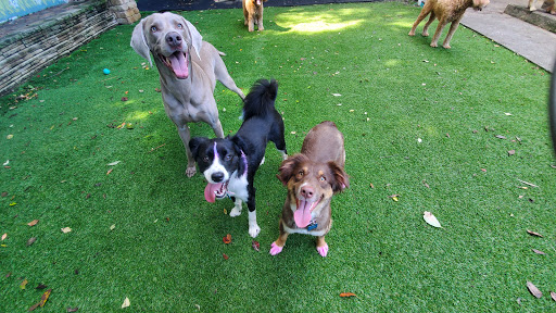 Pet Groomer «Luba`s Pet Grooming Studio», reviews and photos, 2782 Park St, Jacksonville, FL 32205, USA