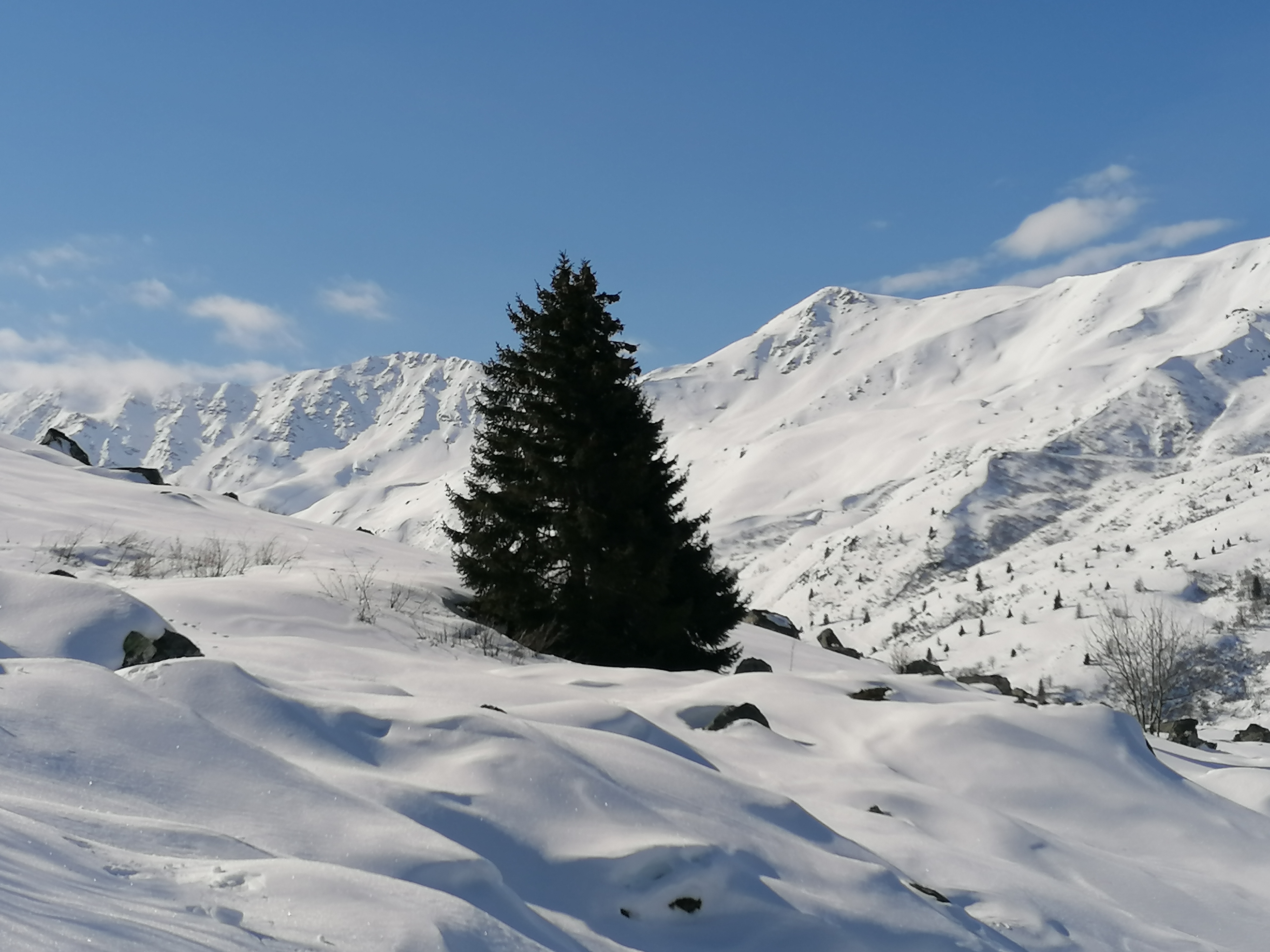 Photo n° 3 de l'avis de Sottiaux.e fait le 17/03/2024 à 13:32
