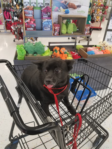 Pet Supply Store «Petco Animal Supplies», reviews and photos, 1207 S Caraway Rd, Jonesboro, AR 72401, USA