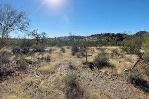 Silver Bell Cemetery