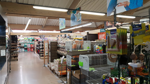 Reptile stores Toulouse