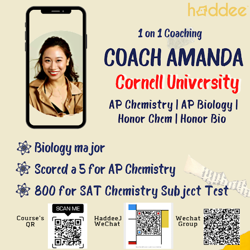Haddee Education image