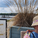 Photo n°2 de l'avis de Rainer.e fait le 20/07/2020 à 08:51 sur le  Bistro Lene à Rerik