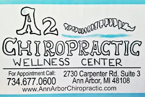Ann Arbor Chiropractic Wellness Center image