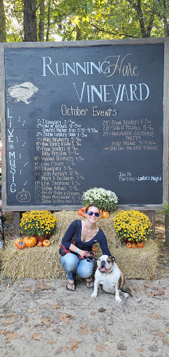 Vineyard «Running Hare Vineyard», reviews and photos, 150 Adelina Rd, Prince Frederick, MD 20678, USA