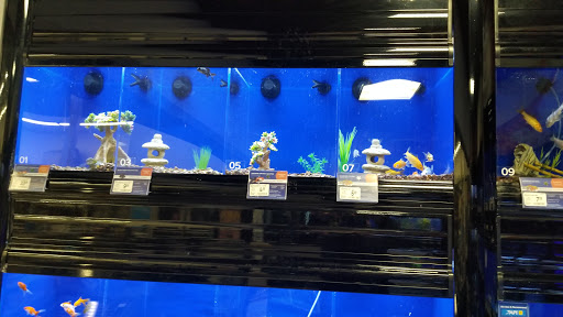 Pet Supply Store «PetSmart», reviews and photos, 23271 Eureka Rd, Taylor, MI 48180, USA