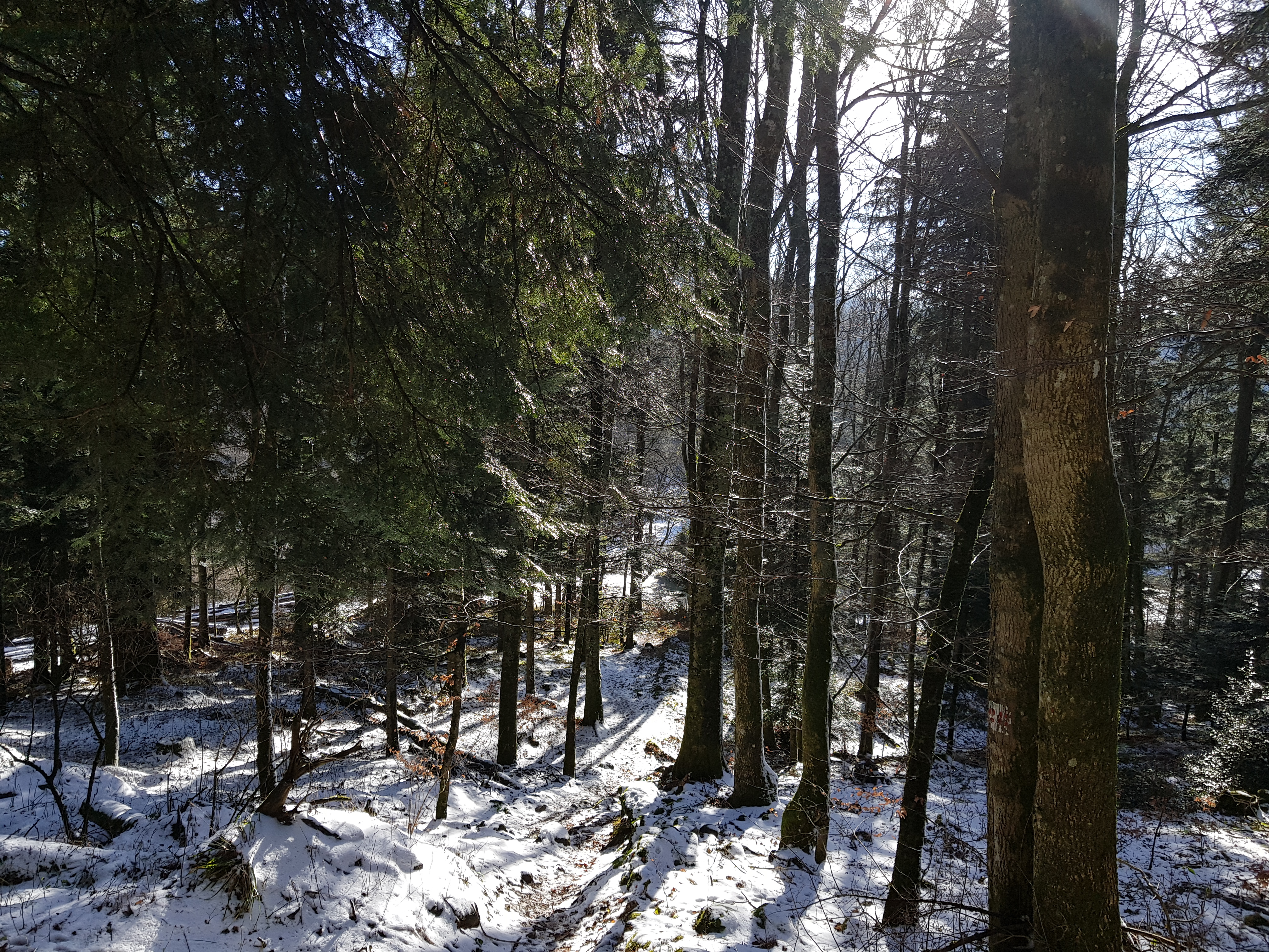 Photo n° 17 de l'avis de Celine.V fait le 03/03/2019 à 12:14