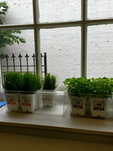 Pet Supply Store «Unleashed by Petco», reviews and photos, 8412 Georgia Ave, Silver Spring, MD 20910, USA