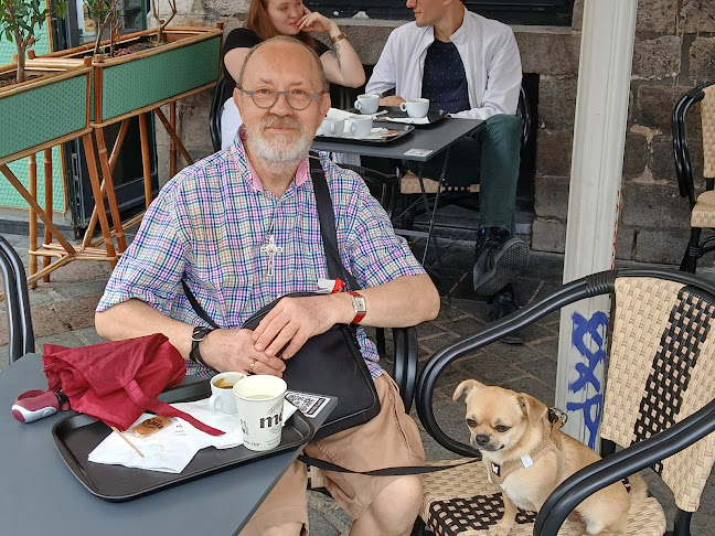 Avis sur Laboratoire d'analyses médicales - Lille Molinel - Cerballiance à Lille - Laboratoire