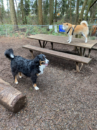 Park «Northacres Park», reviews and photos, 12718 1st Ave NE, Seattle, WA 98125, USA