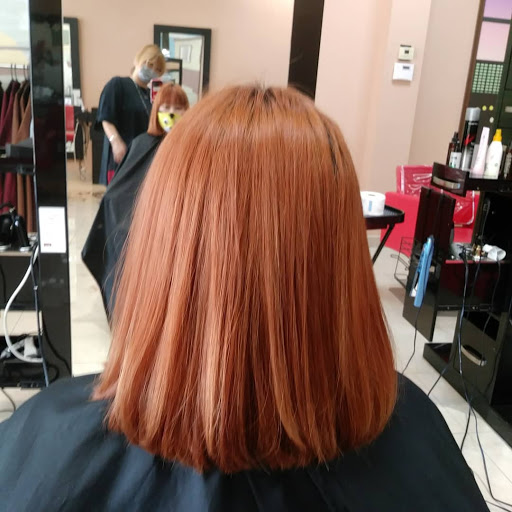 Hair Salon «Muse Hair Salon», reviews and photos, 1017 E Trinity Mills Rd, Carrollton, TX 75006, USA