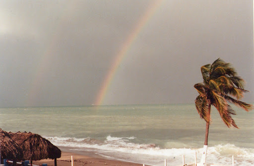 Golf Club «Plantation Preserve Golf Course & Club», reviews and photos, 7050 W Broward Blvd, Plantation, FL 33317, USA