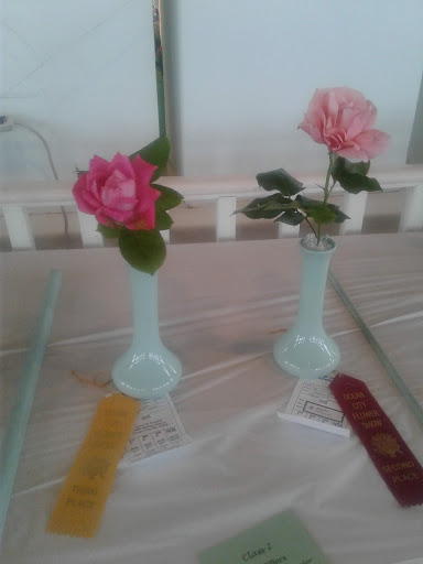 Concert Hall «Ocean City Music Pier», reviews and photos, 825 Boardwalk, Ocean City, NJ 08226, USA