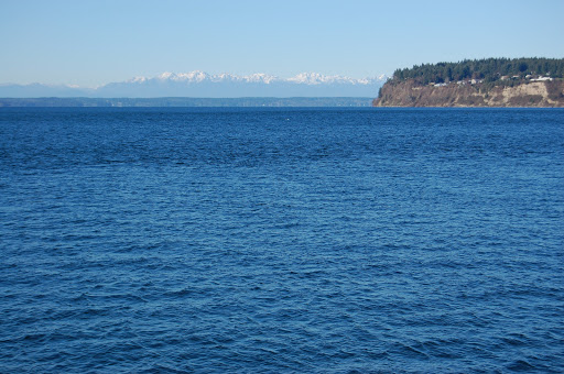 Public Golf Course «Chambers Bay», reviews and photos, 6320 Grandview Dr W, University Place, WA 98467, USA