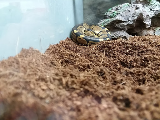 Pet Supply Store «Petco Animal Supplies», reviews and photos, 217 Oak Lee Dr #16, Ranson, WV 25438, USA