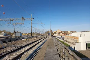 Ferrara image