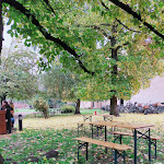 Photo n°1 de l'avis de Chloé.t fait le 12/11/2020 à 22:23 sur le  Caffetteria Ristoro Schifanoia à Ferrara