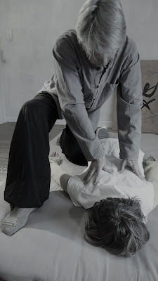 Shiatsu Didier Lagarde à Anglet