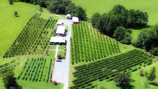 Winery «Hidden Meadow Vineyard and Winery», reviews and photos, 664 Co Rd 606, Jemison, AL 35085, USA
