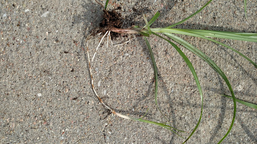 Community Center «Pipal Park Community Center», reviews and photos, 7770 Hascall St, Omaha, NE 68124, USA