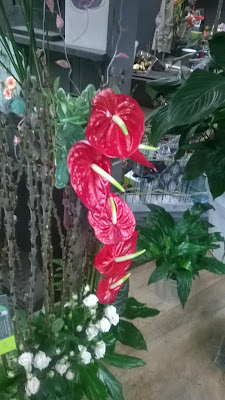 Votre Fleuriste à Saint-Pryvé-Saint-Mesmin