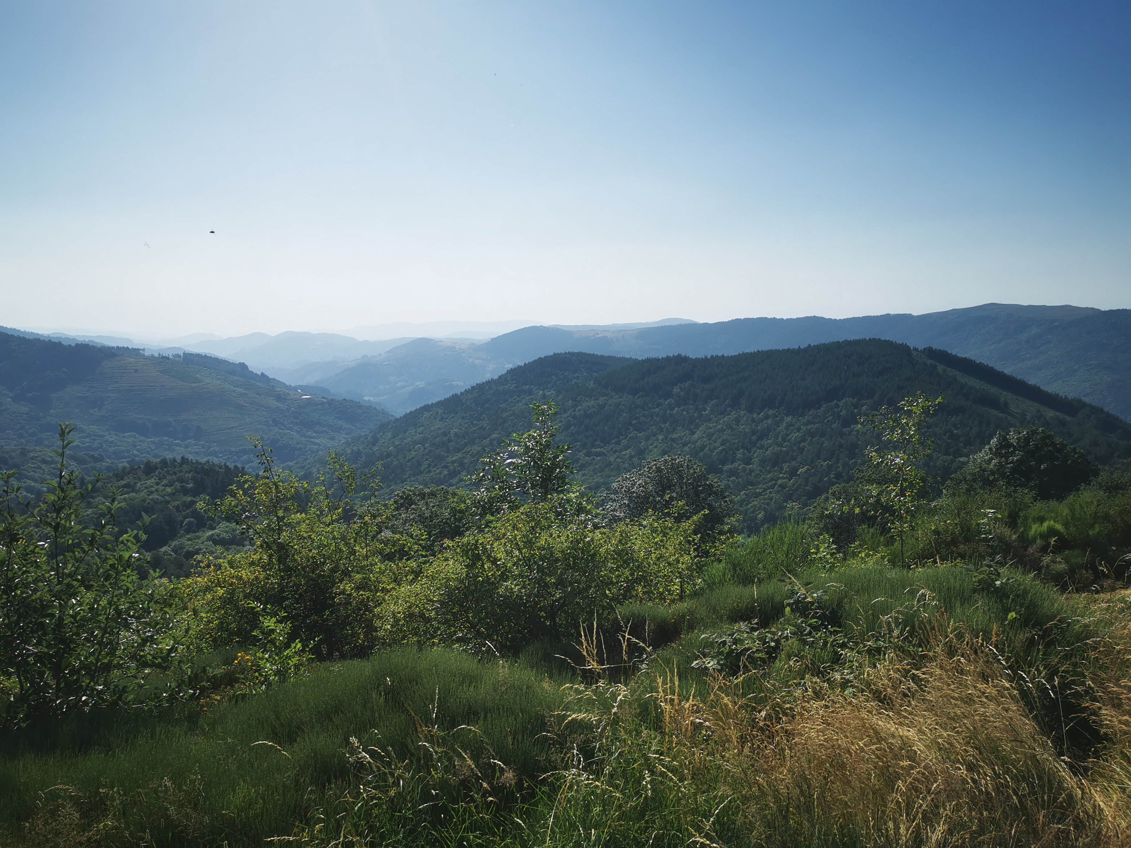 Photo n° 24 de l'avis de Seb. fait le 14/07/2023 à 04:55