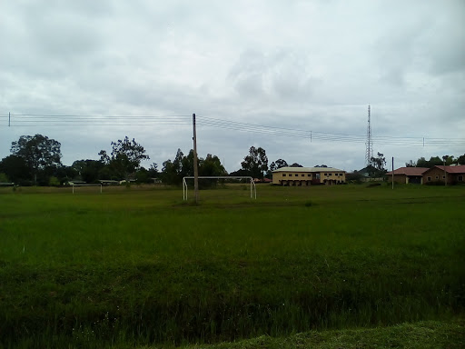 NTA Television College, Jos, Nigeria, Pizza Delivery, state Plateau