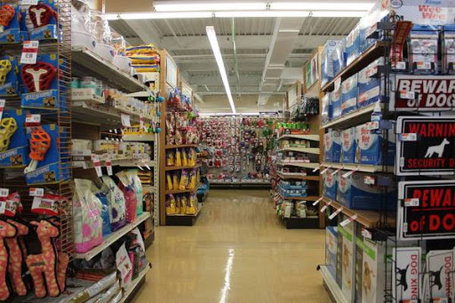 Pet Supply Store «Pet Supplies Plus», reviews and photos, 175 Memorial Ave, West Springfield, MA 01089, USA