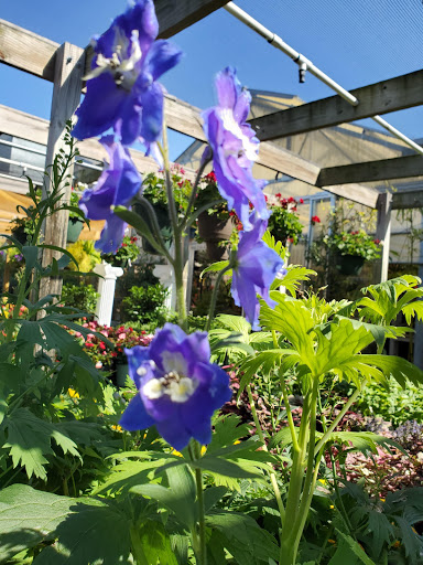 Hardware Store «Proctor Ace Hardware», reviews and photos, 1281 Atlantic Blvd, Neptune Beach, FL 32266, USA