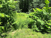 Palma Lawncare - Photo 9 - Car repair in , Portland