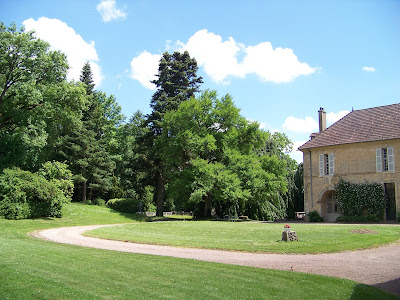 BrillatSavarin Paysages à Angers