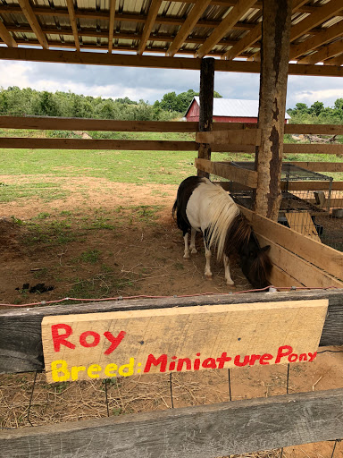 Produce Market «Richards Fruit Market», reviews and photos, 6410 Middle Rd, Middletown, VA 22645, USA