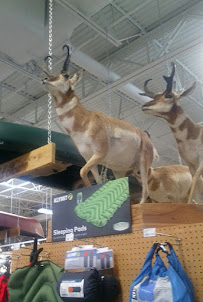 Sportsman's Warehouse - Photo 6 - Car repair in Las Vegas, NV, Las Vegas