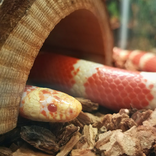 Pet Store «Pet World Warehouse Outlet», reviews and photos, 2984 S 108th St, Milwaukee, WI 53227, USA