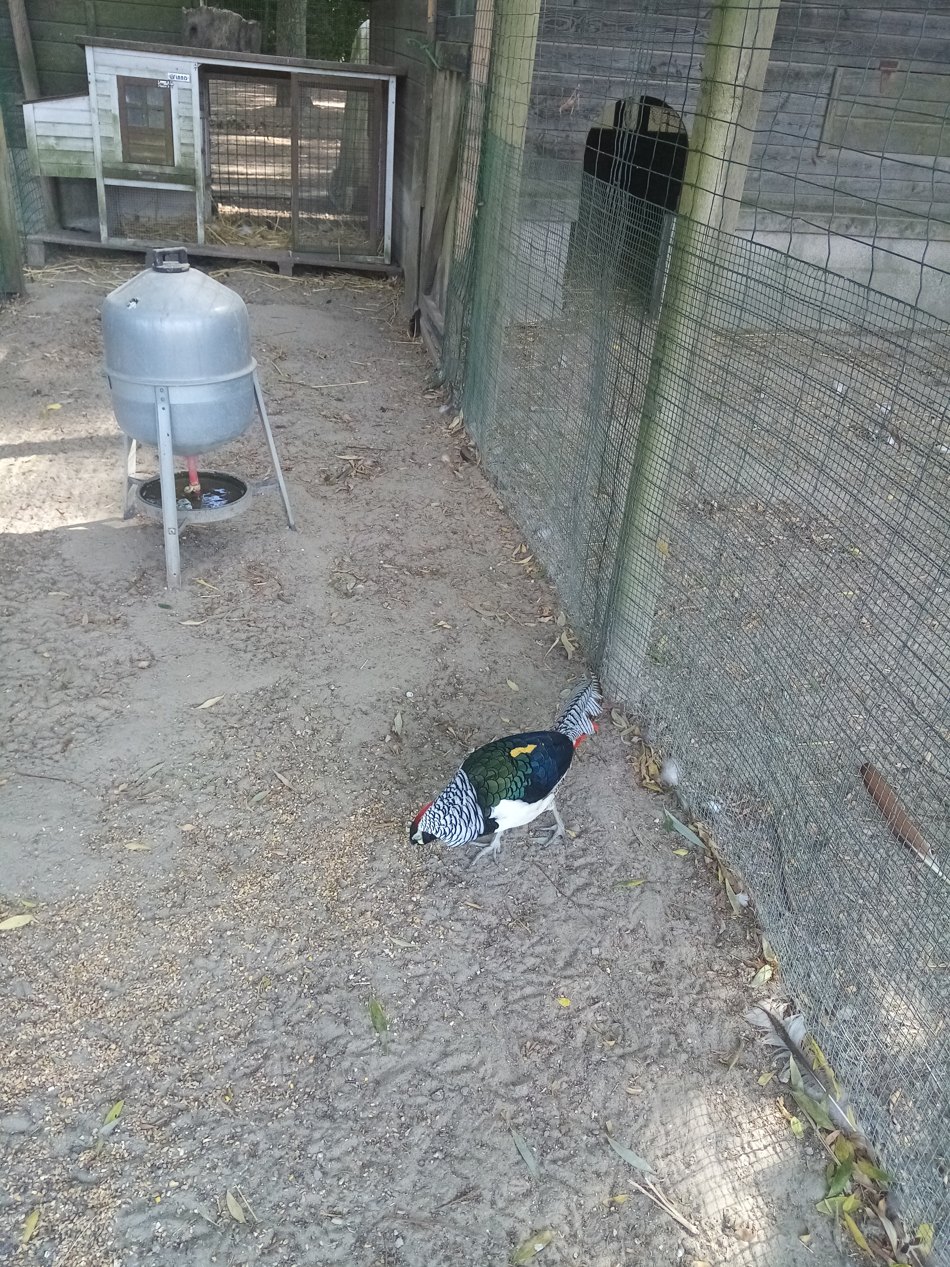 Photo n° 2 de l'avis de gerard.e fait le 23/03/2019 à 21:26