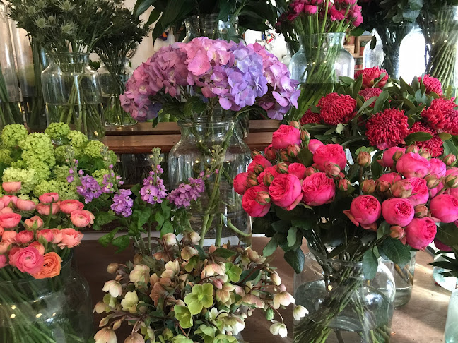 Comments and reviews of Highgate Flowers