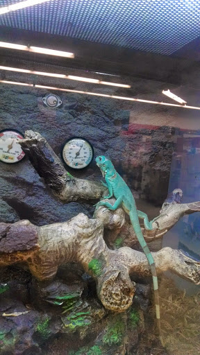 Pet Supply Store «Petco Animal Supplies», reviews and photos, 308 E Meighan Blvd, Gadsden, AL 35903, USA