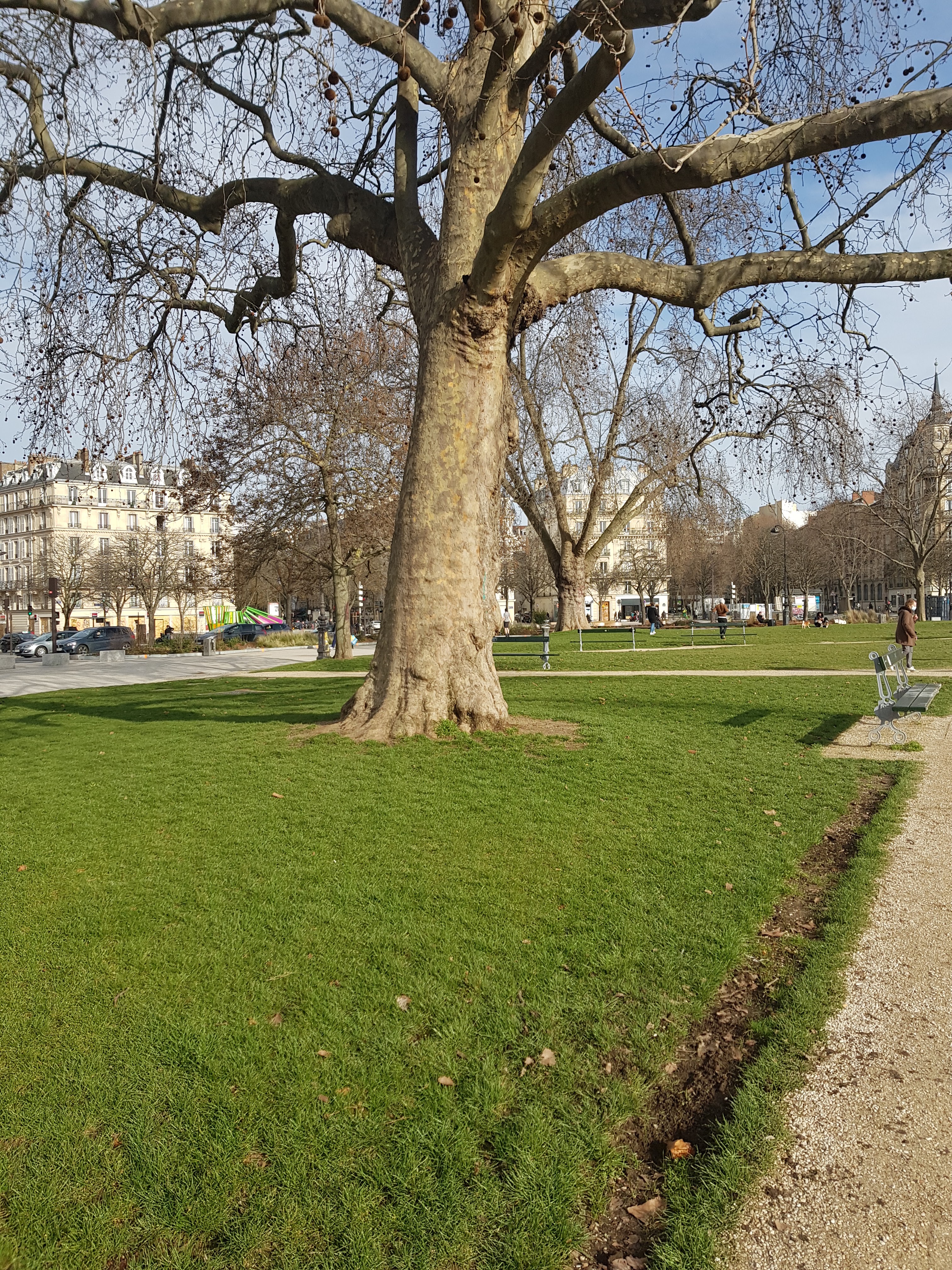 Photo n° 11 de l'avis de Ruth.a fait le 20/02/2021 à 20:51