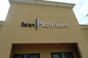 Salon Platinum image